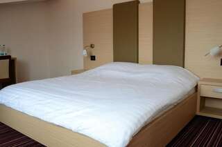 Апарт-отели Zenti Plaza Hotel Дробета-Турну- Севери Двухместный номер с 1 кроватью-11